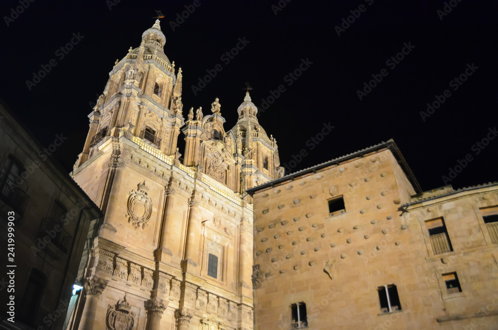 夜のサラマンカ大聖堂（スペイン）