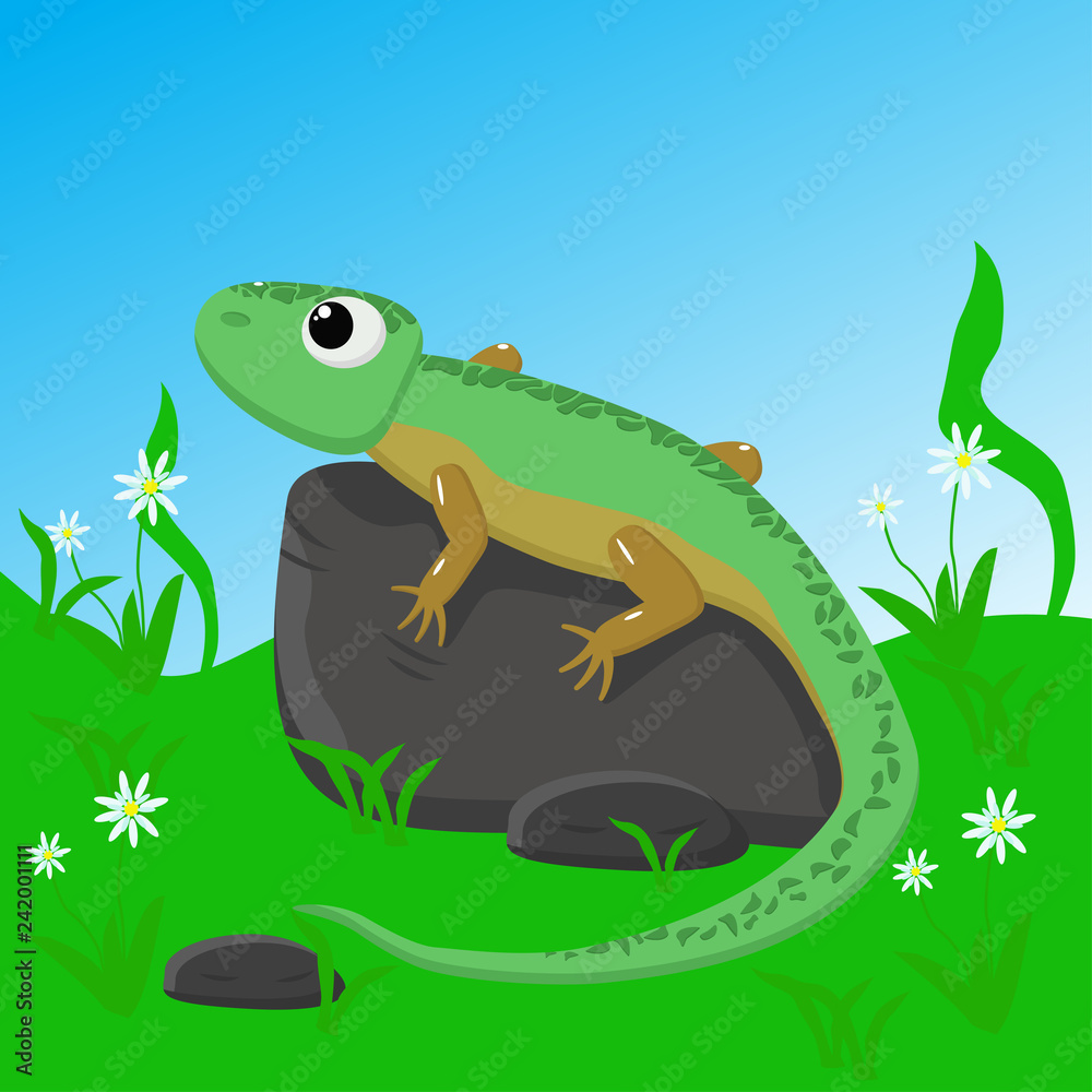Obraz premium lizard on stone - vector illustration, eps