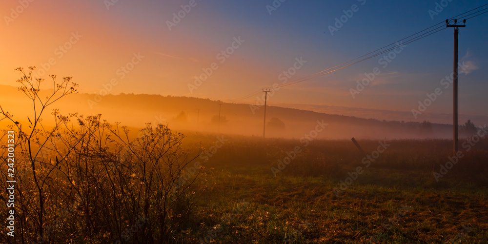 Fog on the countryside, next to the poles with wires, orange glowing fog, bright colors,