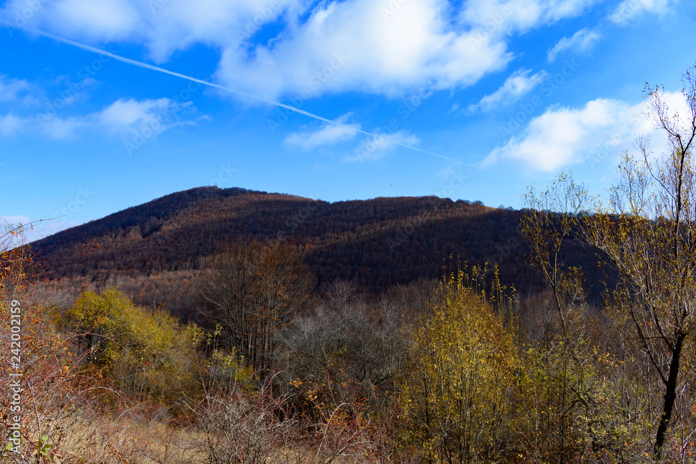 A mountain with yellow and brown trees due to autumn. The sky is blue with white clouds A mountain with yellow and brown trees due to autumn. The sky is blue with white clouds