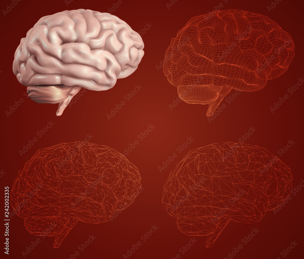 human brain. Vector set in different styles. meshe human brain. Vector set in different styles. meshe
