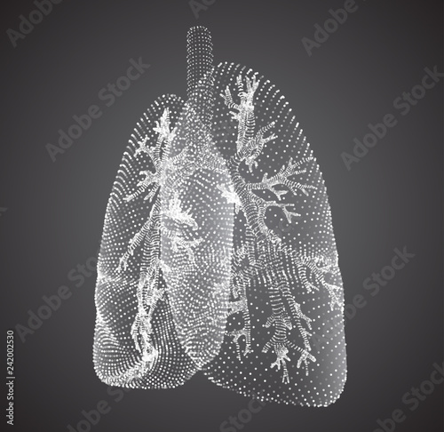 vector lungs and bronchi. vector design. point and dot style