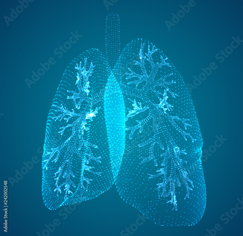 vector lungs and bronchi. vector design. point and dot style