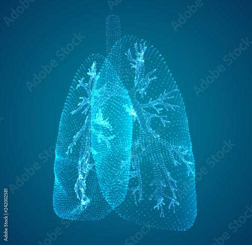 vector lungs and bronchi. vector design. point and dot style