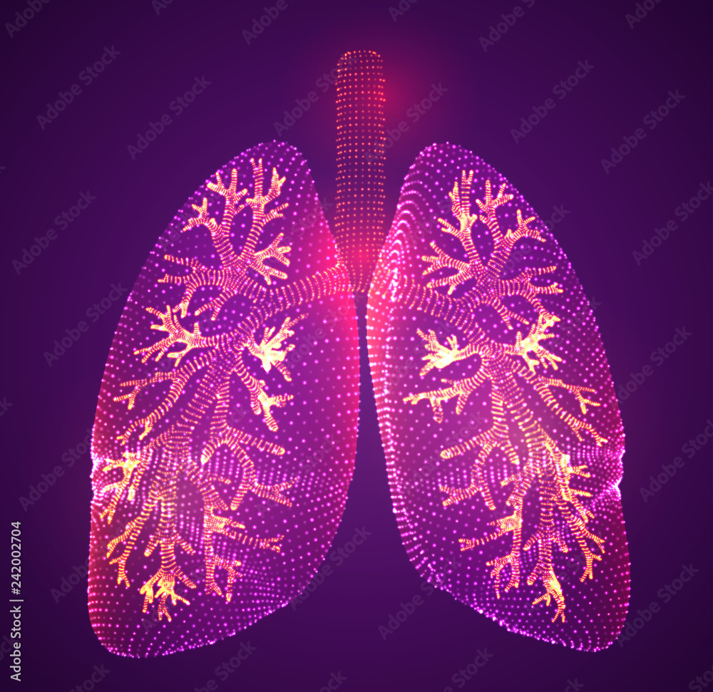 vector lungs and bronchi. vector design. point and dot style