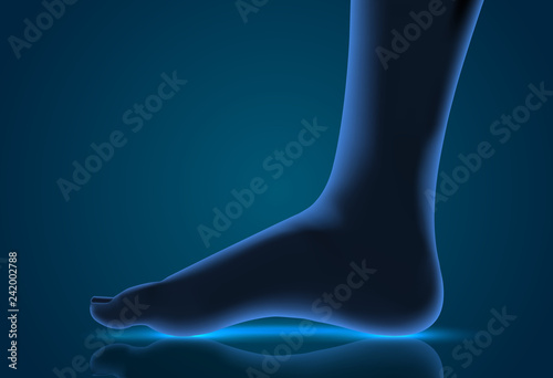 3d illustration,vector foot volume, health and shoe selection