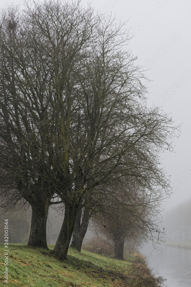 Obraz premium an der Niers