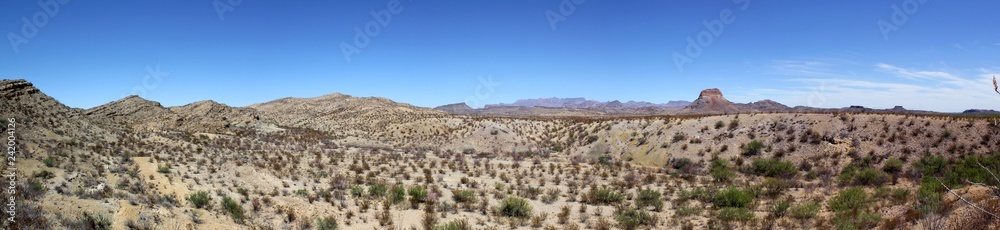 Panoramic view of the Chihuahuan Desert in Big Bend National Park, USA
