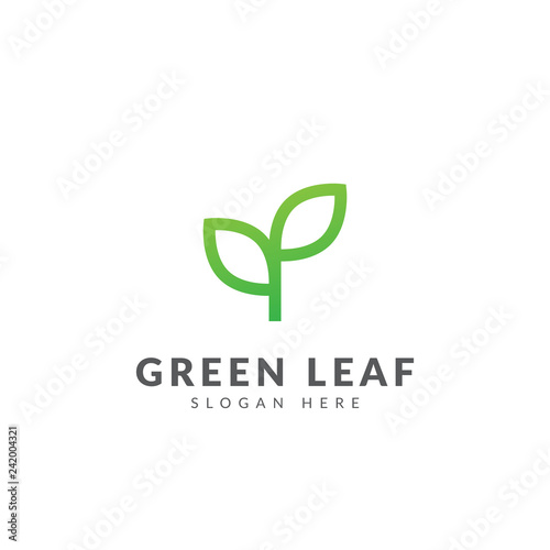 Green leaf logo template vector design