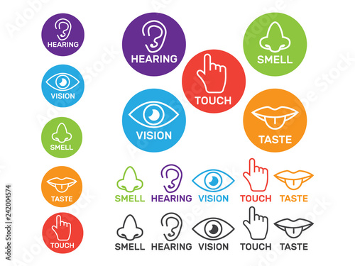 Five senses vector icons set isolated white. Smell and see, feel and hear illustration