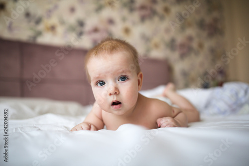 charming baby babe lying on his stomach on bed