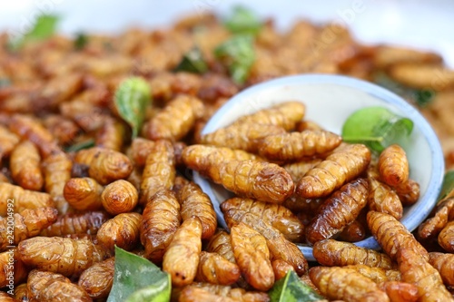 Fried insect at street food © oilslo