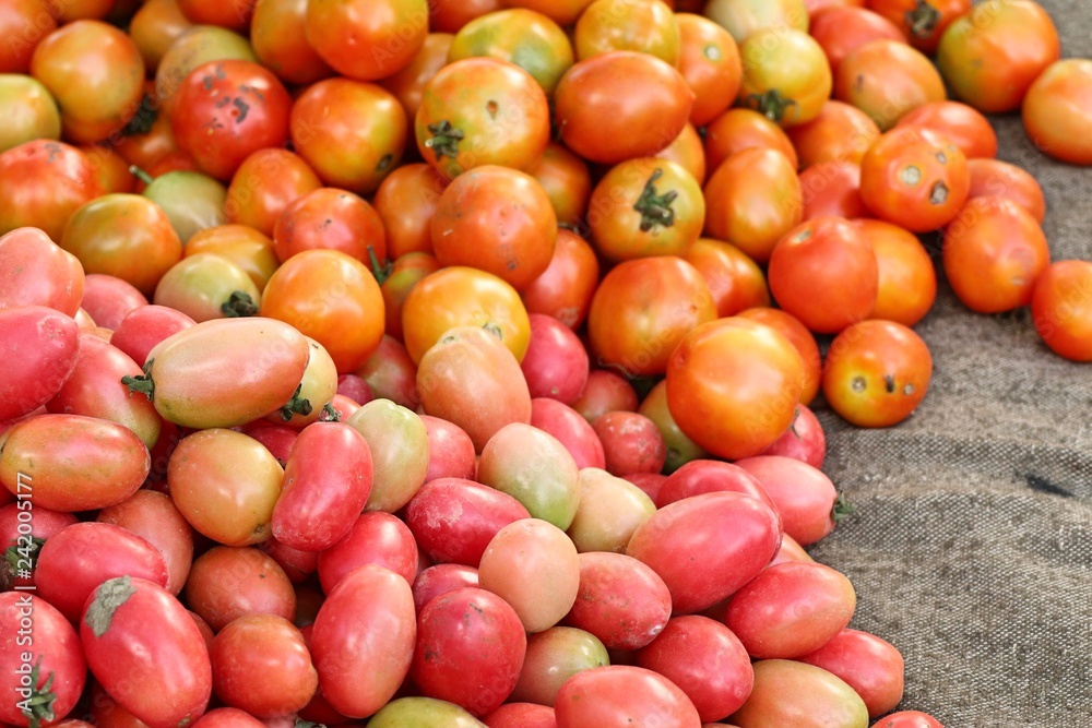 tomatoes at the market