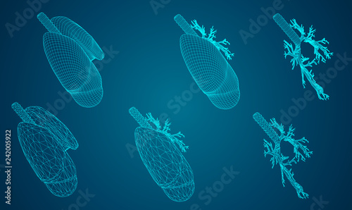 Vector set 3D lungs and bronchus. on color background. Element for medical design.