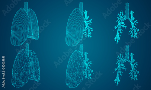 Vector set 3D lungs and bronchus. on color background. Element for medical design.