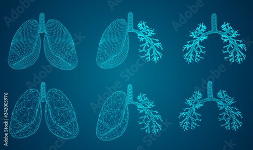 Vector set 3D lungs and bronchus. on color background. Element for medical design.