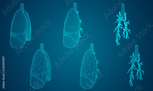 Vector set 3D lungs and bronchus. on color background. Element for medical design.