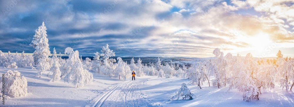 Fototapeta premium Cross-country skiing in winter wonderland in Scandinavia at sunset