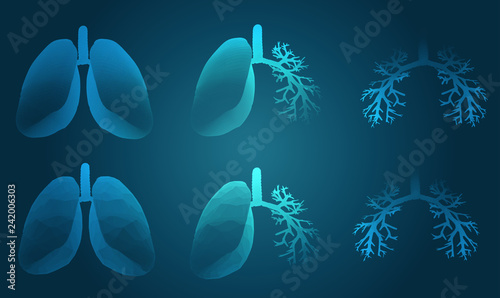 Vector set 3D lungs and bronchus. on color background. Element for medical design.