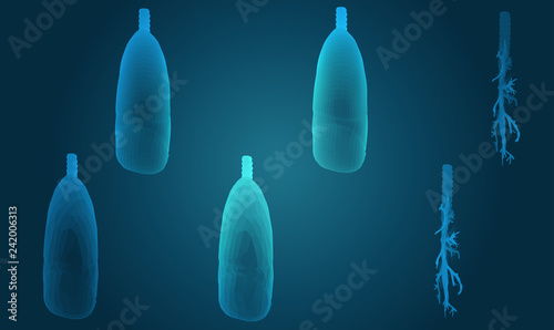 Vector set 3D lungs and bronchus. on color background. Element for medical design.