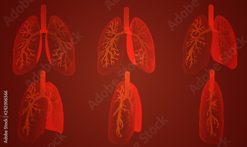 Vector set 3D lungs and bronchus. on color background. Element for medical design.