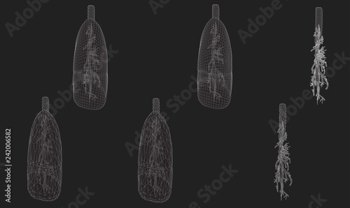 Vector set 3D lungs and bronchus. Isolated on white background. Element for medical design.