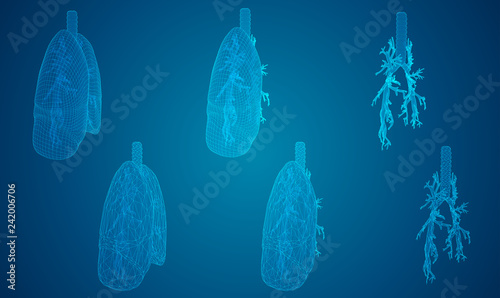 vector set. lungs and bronchi. 3d elements for design