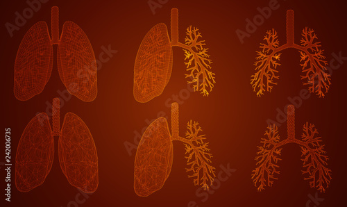vector set. lungs and bronchi. 3d elements for design