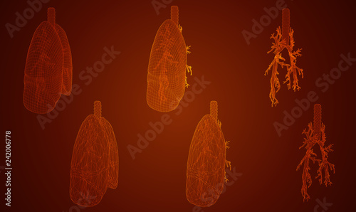 vector set. lungs and bronchi. 3d elements for design