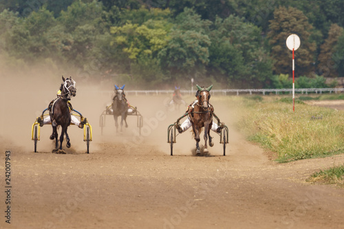 Horses racing, horse riders compete.