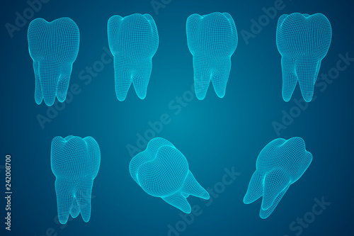 vector set of 3d teeth for dental medicine.