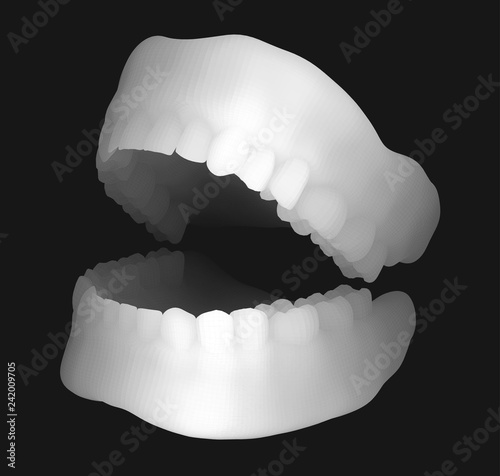 human jaw. 3d vector layout. medicine and health
