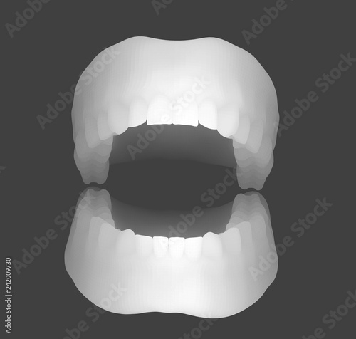 human jaw. 3d vector layout. medicine and health