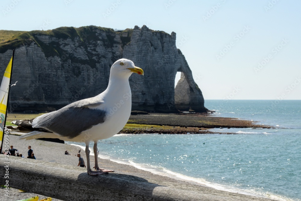 Naklejka premium Etretat