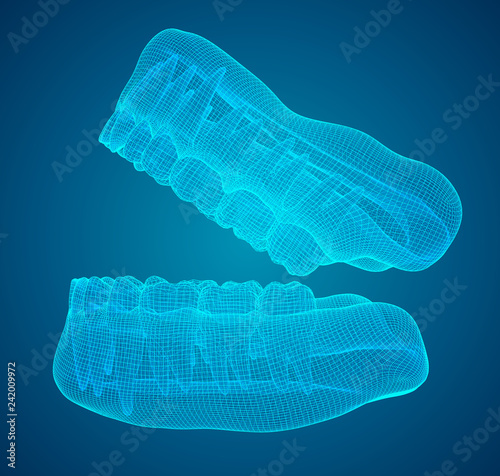 human jaw. 3d vector layout. medicine and health © coffeemill