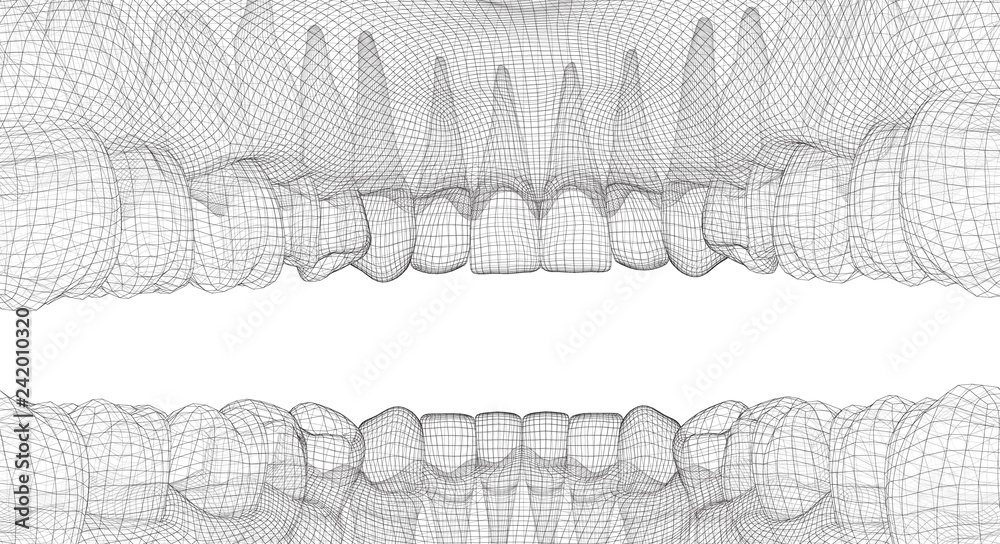 human jaw. 3d vector layout. medicine and health - obrazy, fototapety, plakaty 