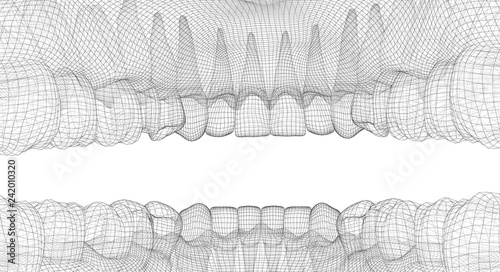 human jaw. 3d vector layout. medicine and health