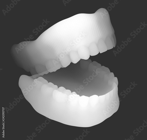 human jaw. 3d vector layout. medicine and health
