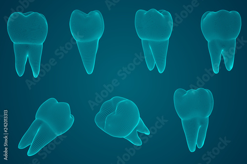 vector set of 3d teeth for dental medicine. on a blue background