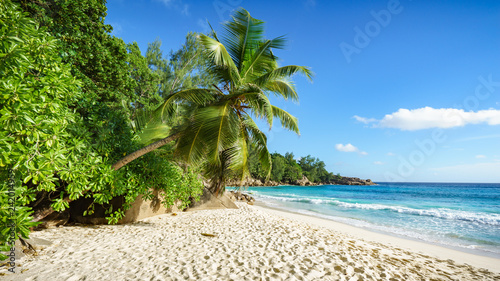 Fototapeta Naklejka Na Ścianę i Meble -  paradise beach on the seychelles 1