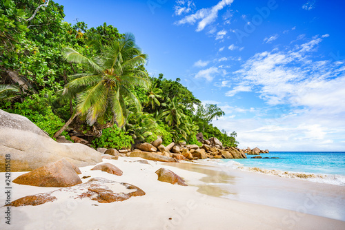 paradise beach on the seychelles 5