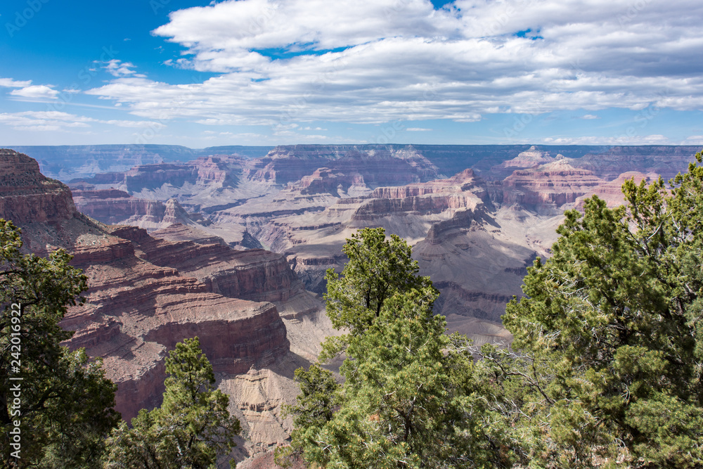 Sunny daytime view of the Grand Canyon National Park, with trees in photo