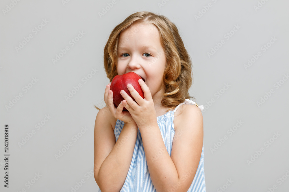 Portrait of a happy smiling little blonde girl on a gray background. Baby bites red apple Portrait of a happy smiling little blonde girl on a gray background. Baby bites red apple