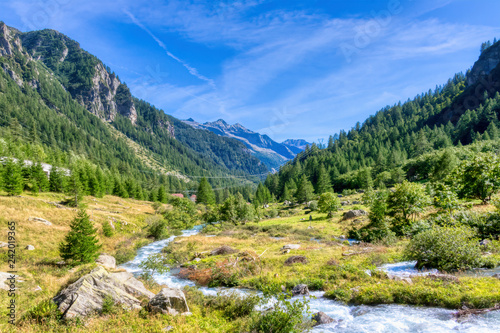 Il fiume che scorre in una valle Alpina