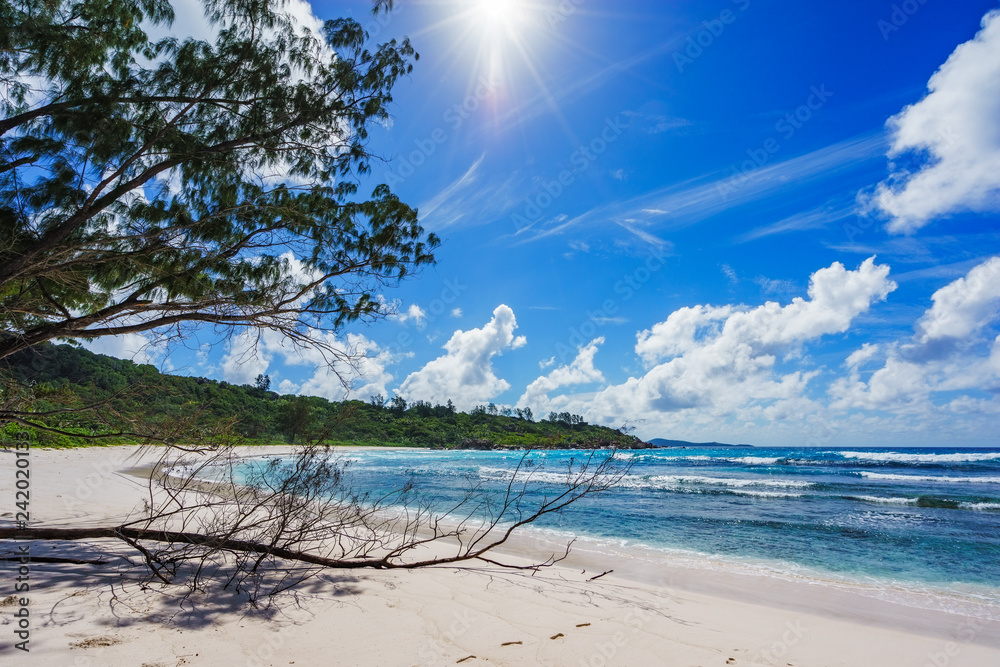 paradise beach on the seychelles, anse cocos, la digue 2 paradise beach on the seychelles, anse cocos, la digue 2