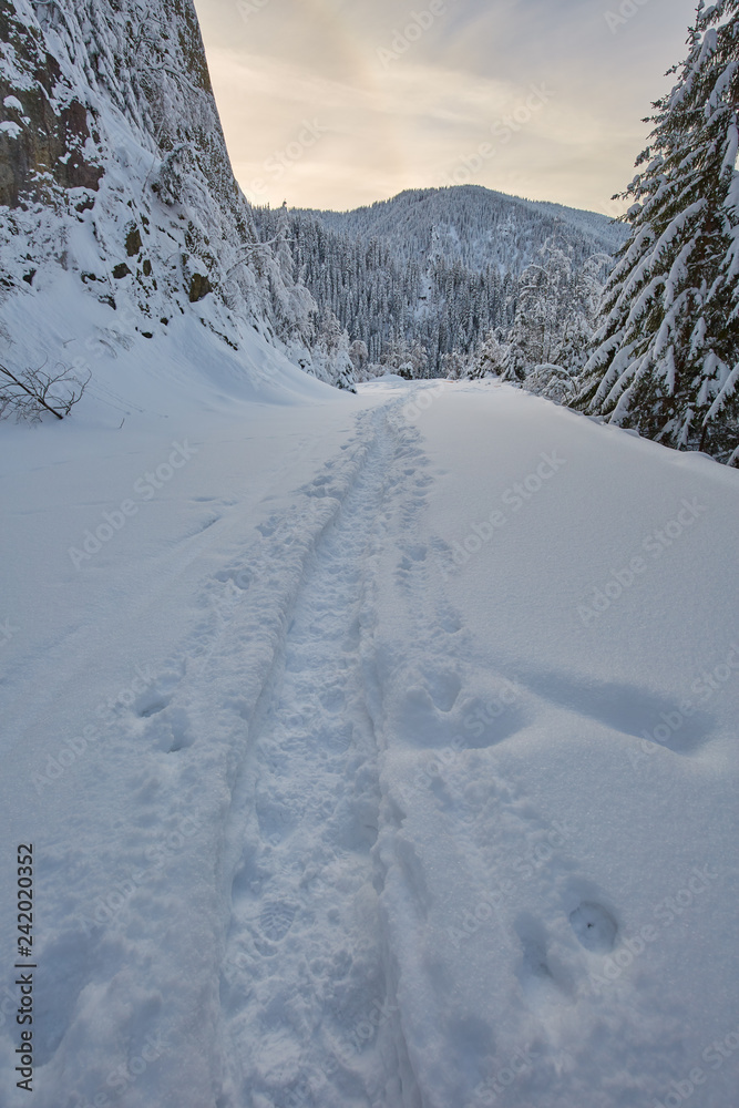 Mountain road transformed in hiking trail in the winter
