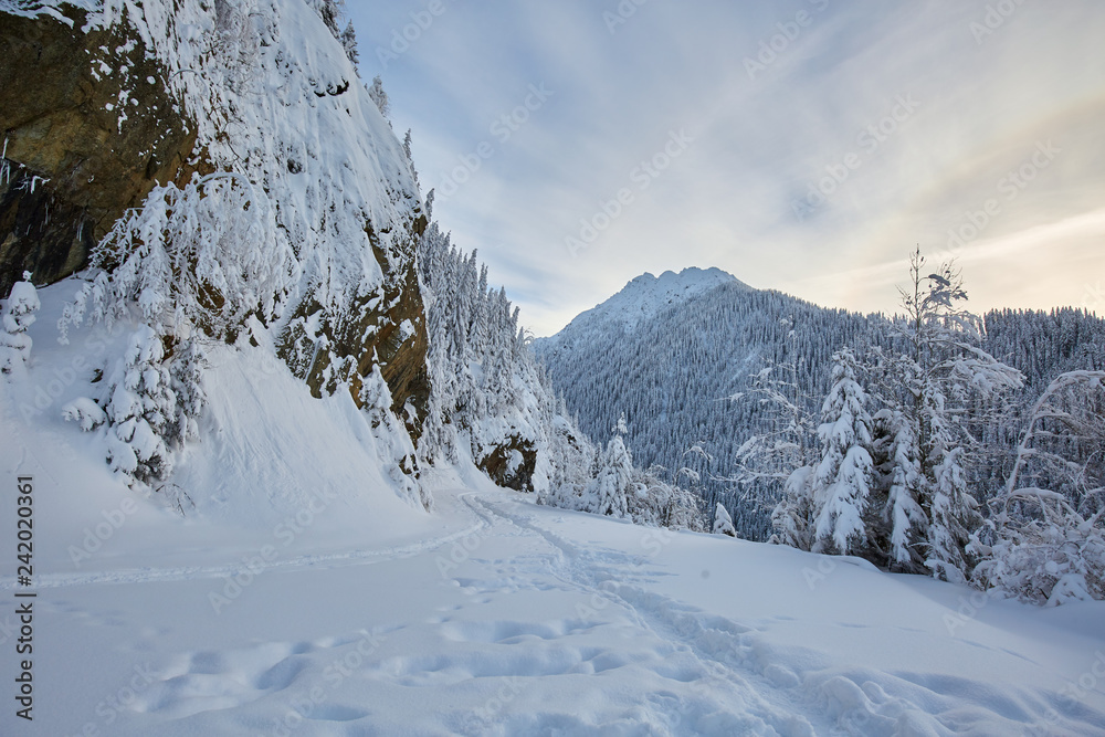 Fototapeta premium Mountain road transformed in hiking trail in the winter