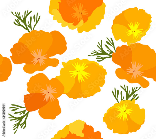Fototapeta Naklejka Na Ścianę i Meble -  Vector California Poppies