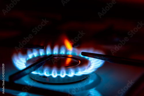 Blue gas burning from a kitchen gas stove. Selective focus