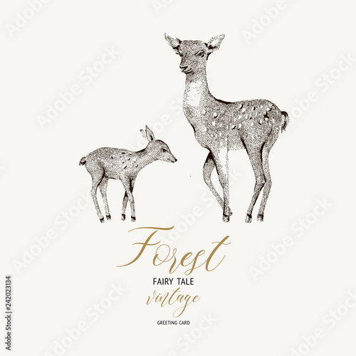 Vector black and white winter vintage card with cute deer